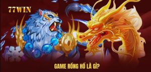 Rồng Hổ 77win